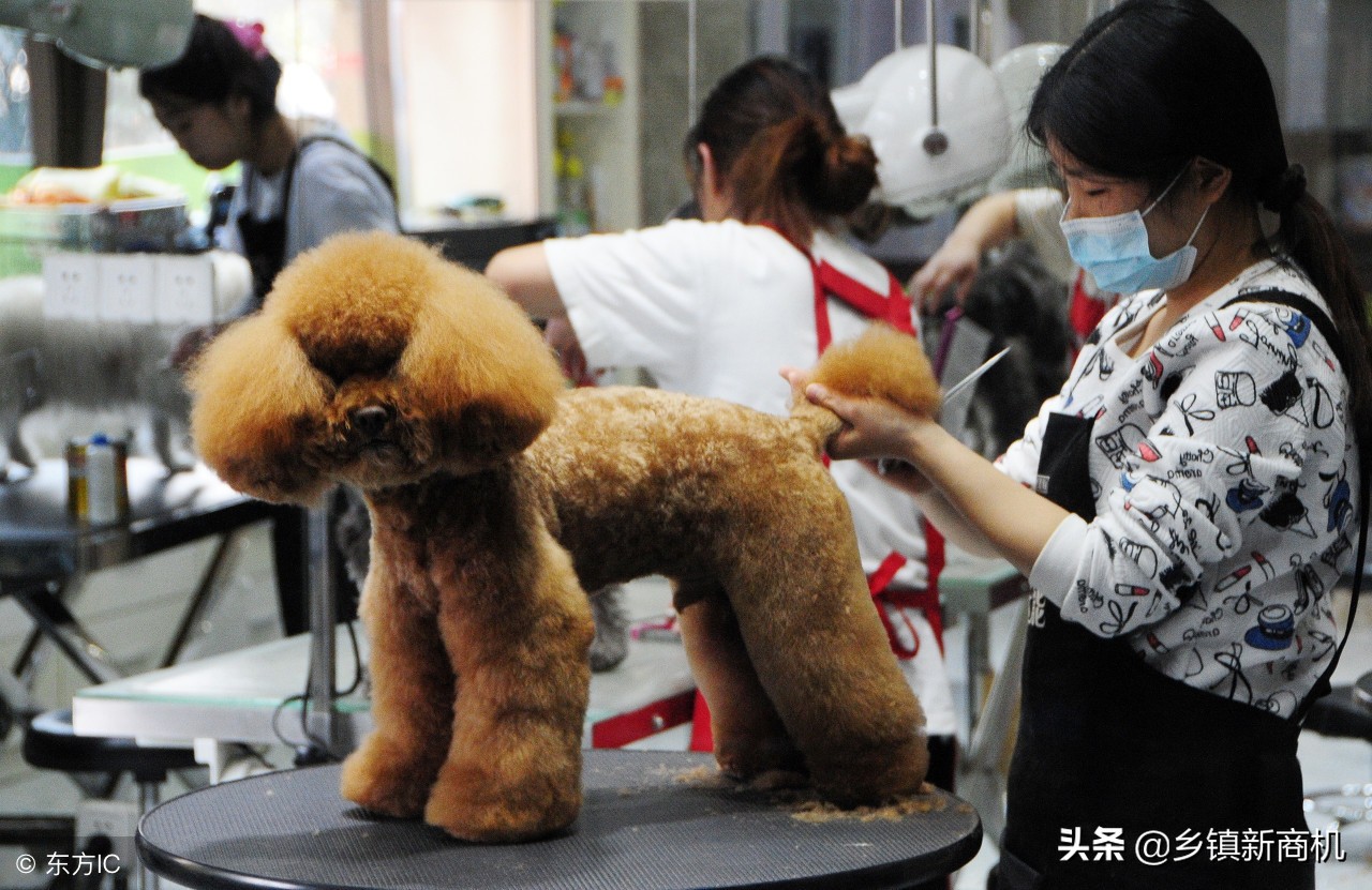 19年创业什么项目比较好,19年适合上班族创业开店