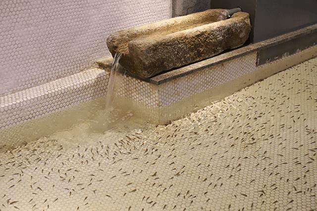 青岛松乐汀温泉生活馆能过夜吗,青岛崂山松乐汀温泉生活馆