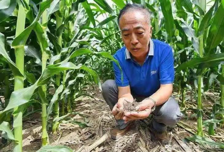 大熊猫这么可爱大家喜欢它吗,耕地中的大熊猫吃什么