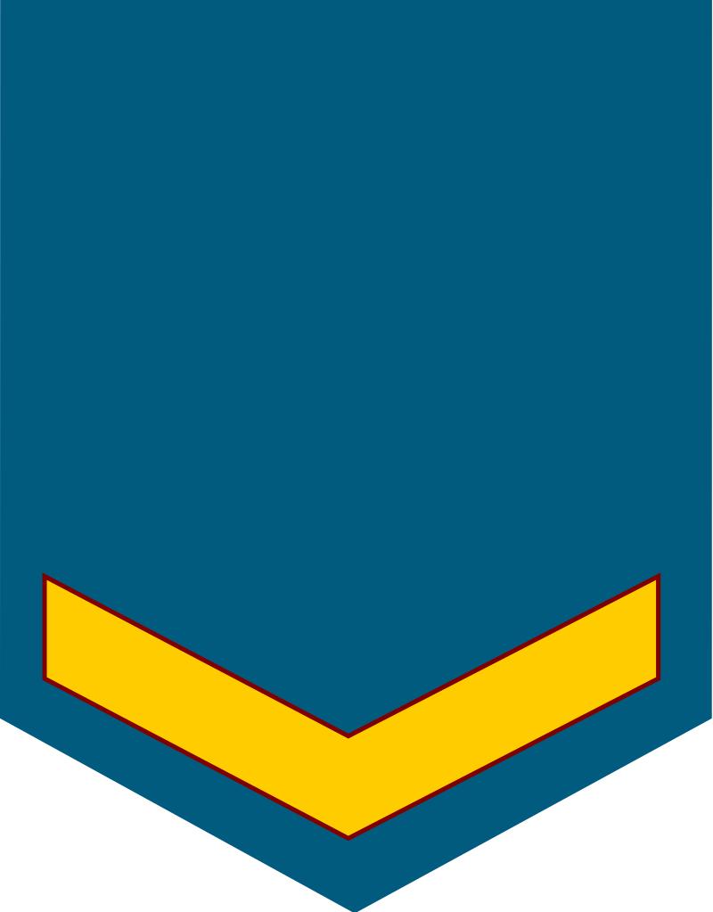 各国军衔标识韩国,马来西亚军衔等级对照表