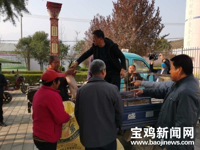 宝鸡农村贫困户养殖牛有什么政策,陕西省宝鸡市眉县养殖