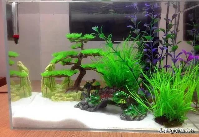 水草泥下水草烂根,水草泥种植水草烂根