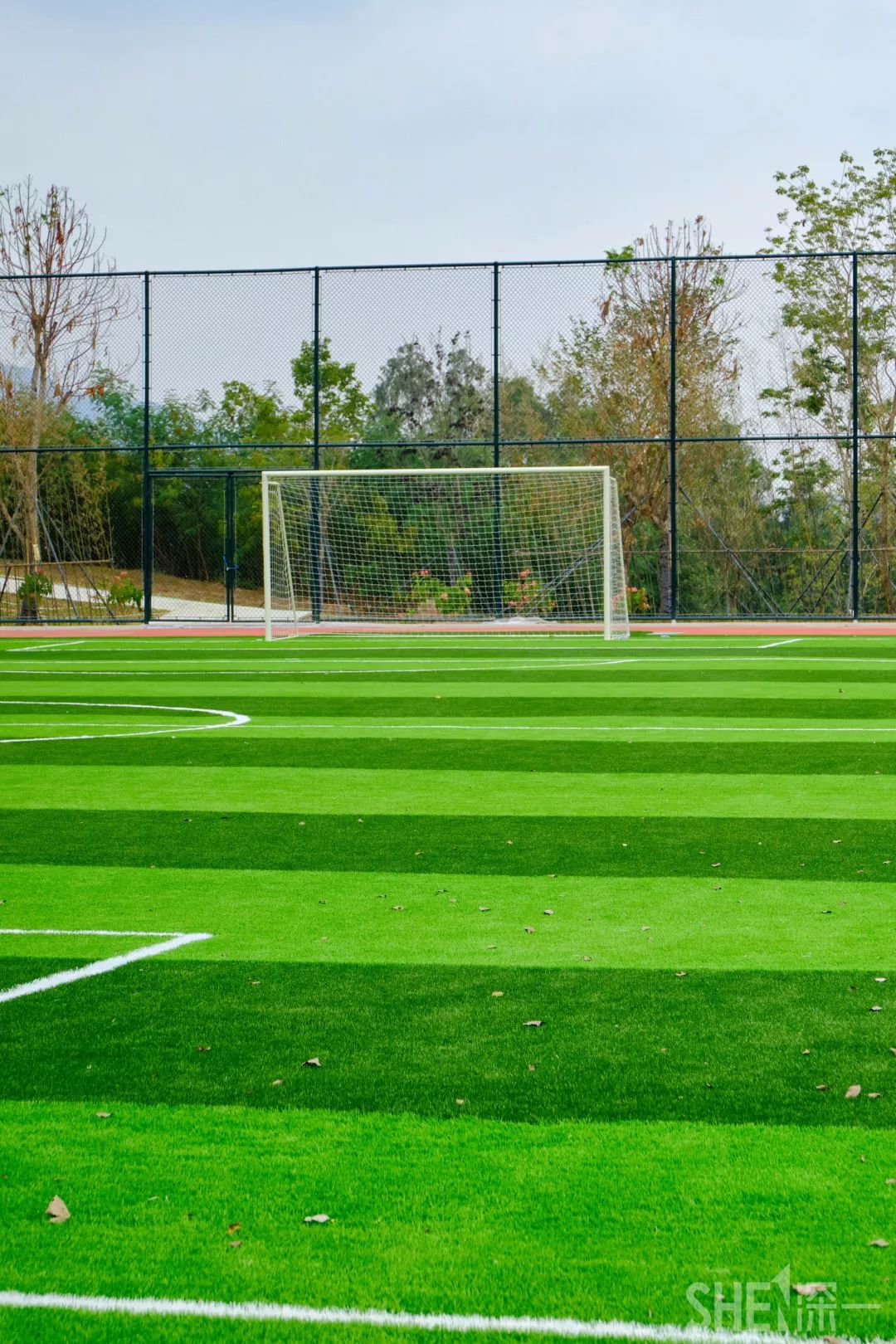 深圳龙华公园推荐,深圳龙华免费公园