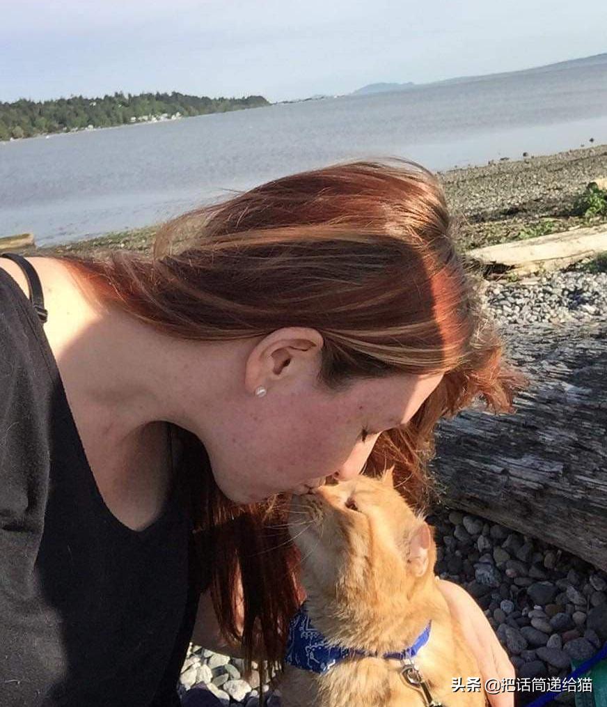 被弃养的猫还要打疫苗吗,弃养了一只猫