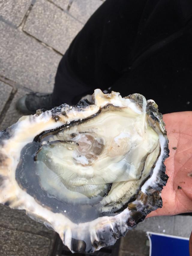 瓷器比景德镇更美?小龙虾泛滥没人吃?爱喝酒又不限速的梦幻国