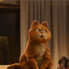 为什么很少有人养加菲猫,最难养的猫加菲猫