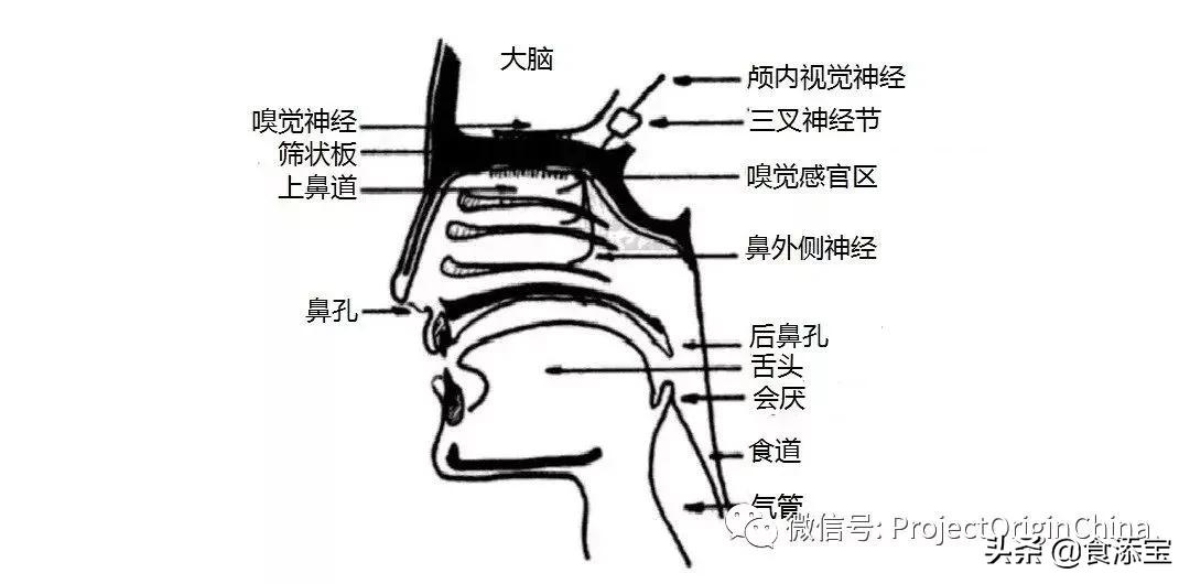 译文~如何杯测咖啡以及培养你的味觉