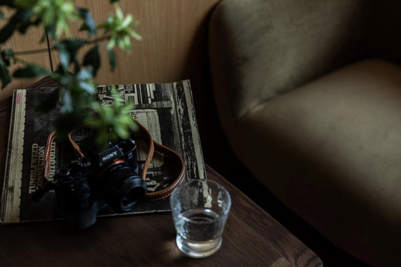 年轻人一人一猫的独居生活,一屋一人一猫的生活视频