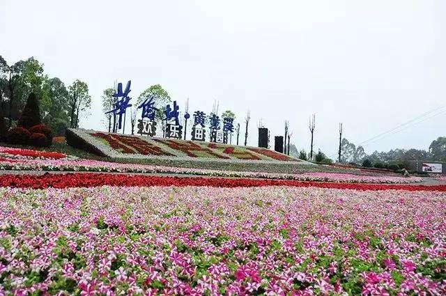 双流未来规划如何,双流最近发展比较好的片区