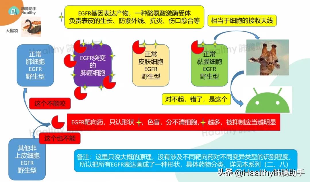 靶向药引起溃疡服什么药好,服用靶向药治疗甲沟炎最佳方法