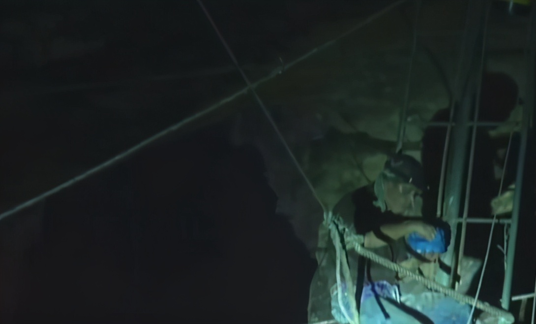 马来西亚超赚钱的工作，采金丝雀燕窝，一周能赚1000万