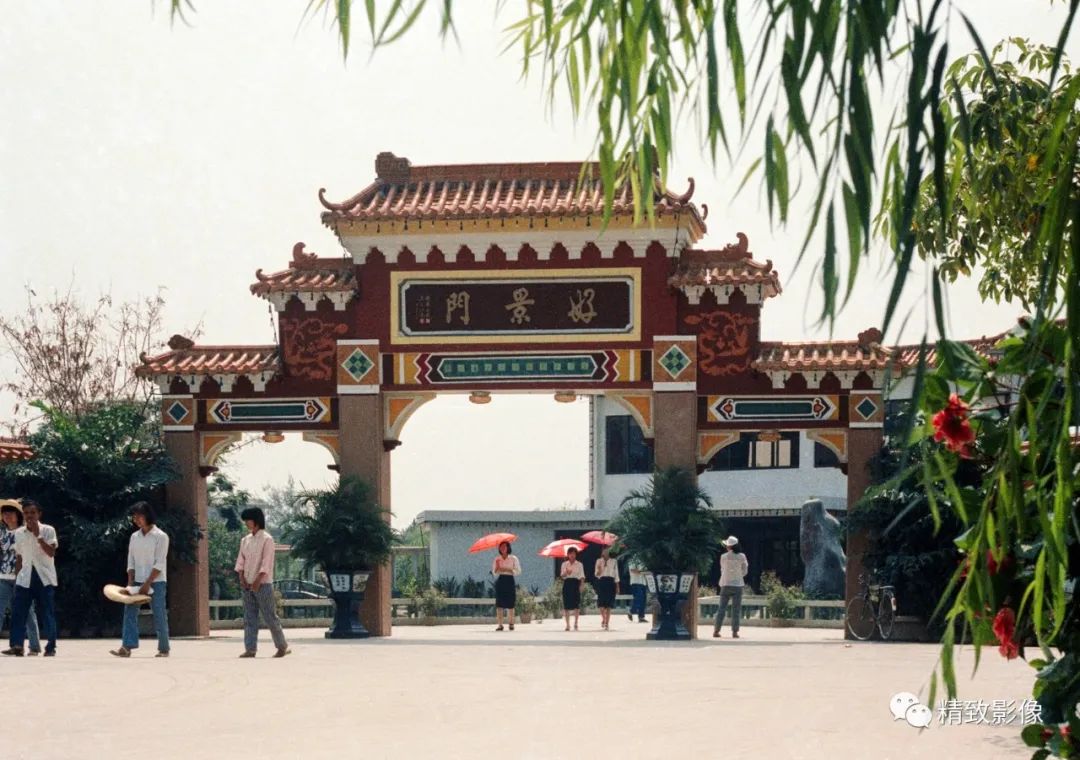 拾光汇影|第六期·珠海斗门白藤湖