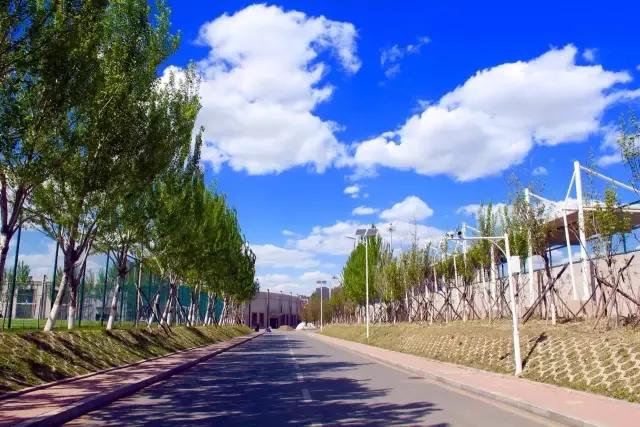 辽宁中医药大学杏林学院规模,辽宁中医学院杏林学院的排名