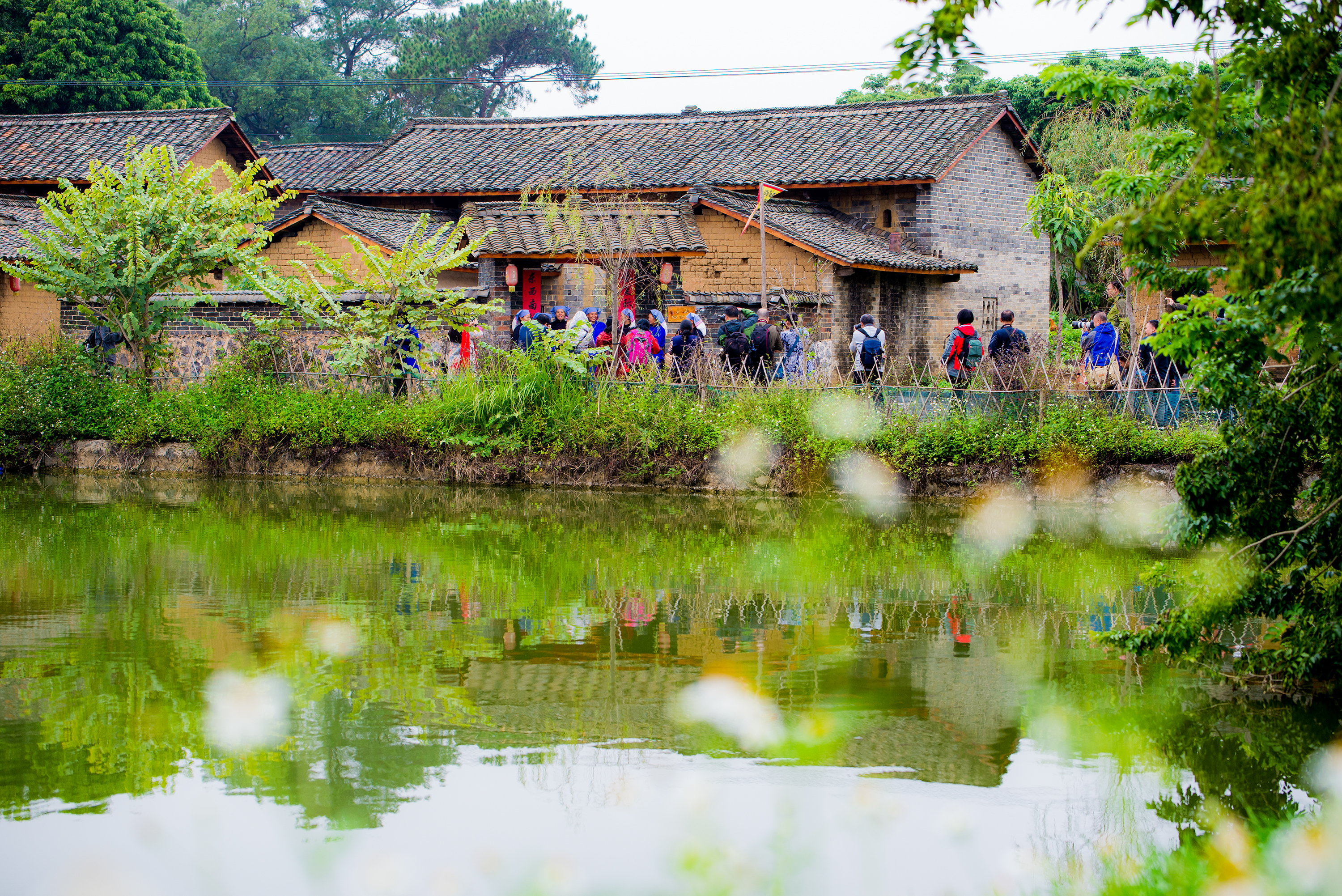 广西壮族自治区横县校椅镇榃曾村,2021年广西横县校椅镇榃僧村