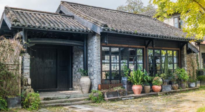 丽水上热搜,浙江丽水现萤火虫星海