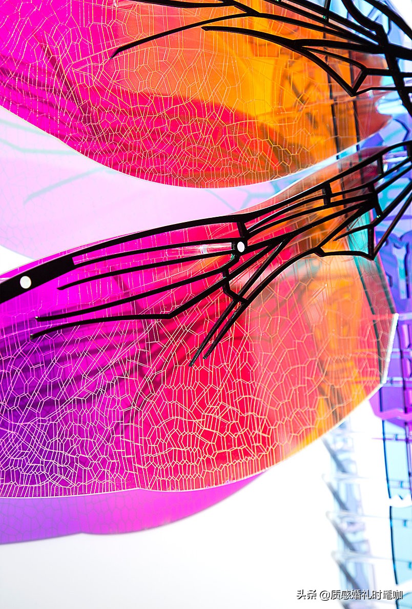 蝗虫算是物种入侵吗,蝗虫是圣甲虫吗