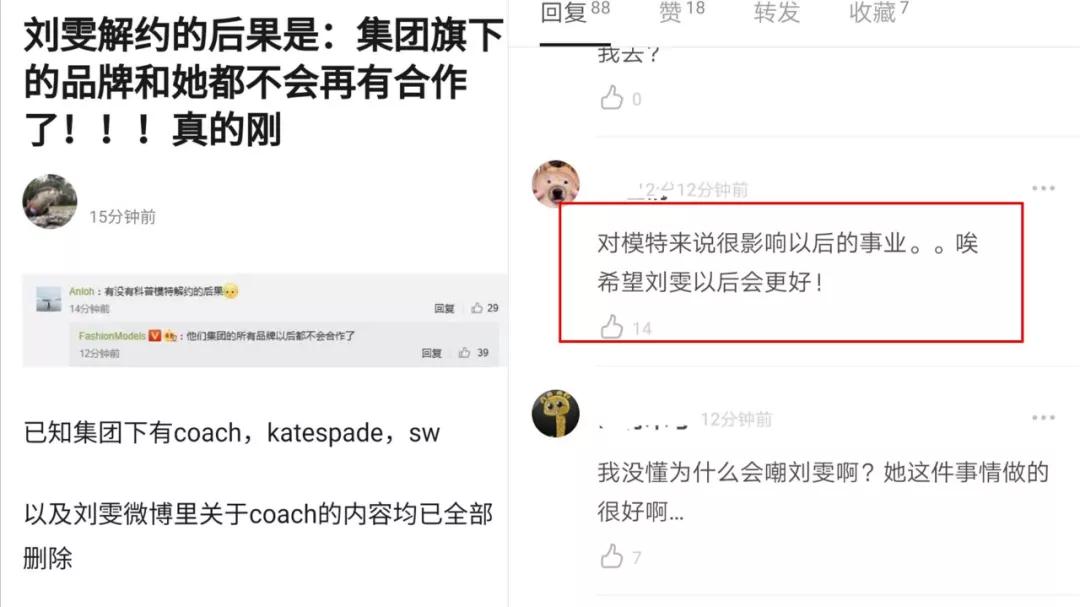 刘雯在陈伟霆家,刘雯陈伟霆家庭装修