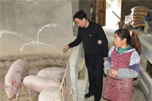 我的扶贫故事完整版张羽,我的扶贫经历和故事