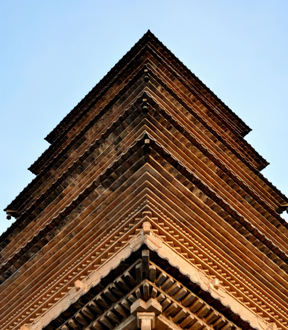 苹果正红景正美!在最甜的时候看最美的运城!