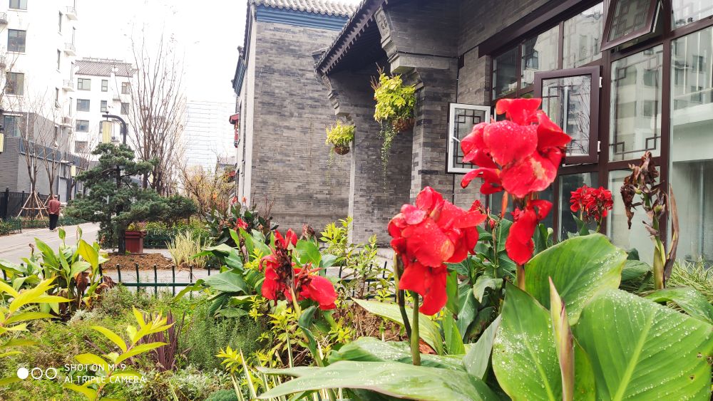 寸土寸金新东关守住临沂根，古色古香沂州里传承沂蒙魂