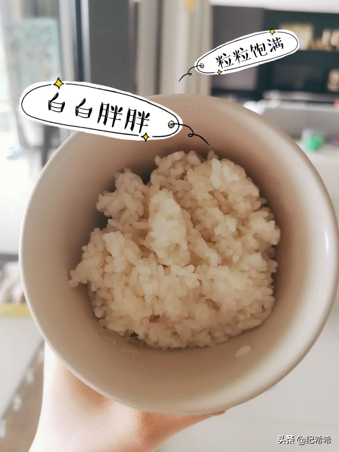 祖马龙薰衣草限定，全智贤同款电饭锅，这些好用真的值得买