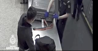 澳大利亚海关禁带物品清单查询,澳洲禁止入境物品最新规定