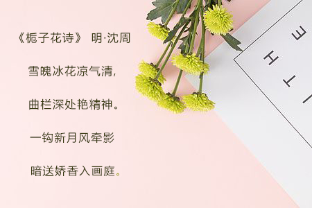 送女朋友的生日礼物推荐高大尚,跨年夜送女朋友的礼物推荐平价