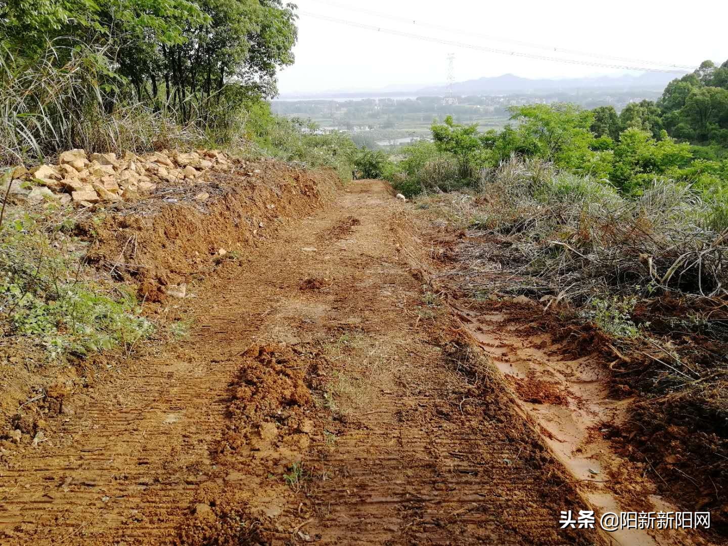 阳新县黄颡口镇发展,黄颡口镇农村建设规划