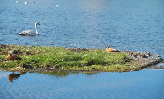 2020独库公路攻略详细路线图,2023独库公路自驾游攻略图