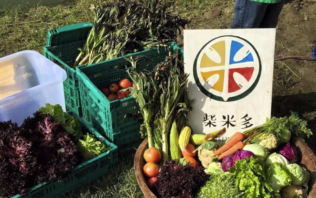 5月去了让人心安的大理,5月底的大理景色怎么样