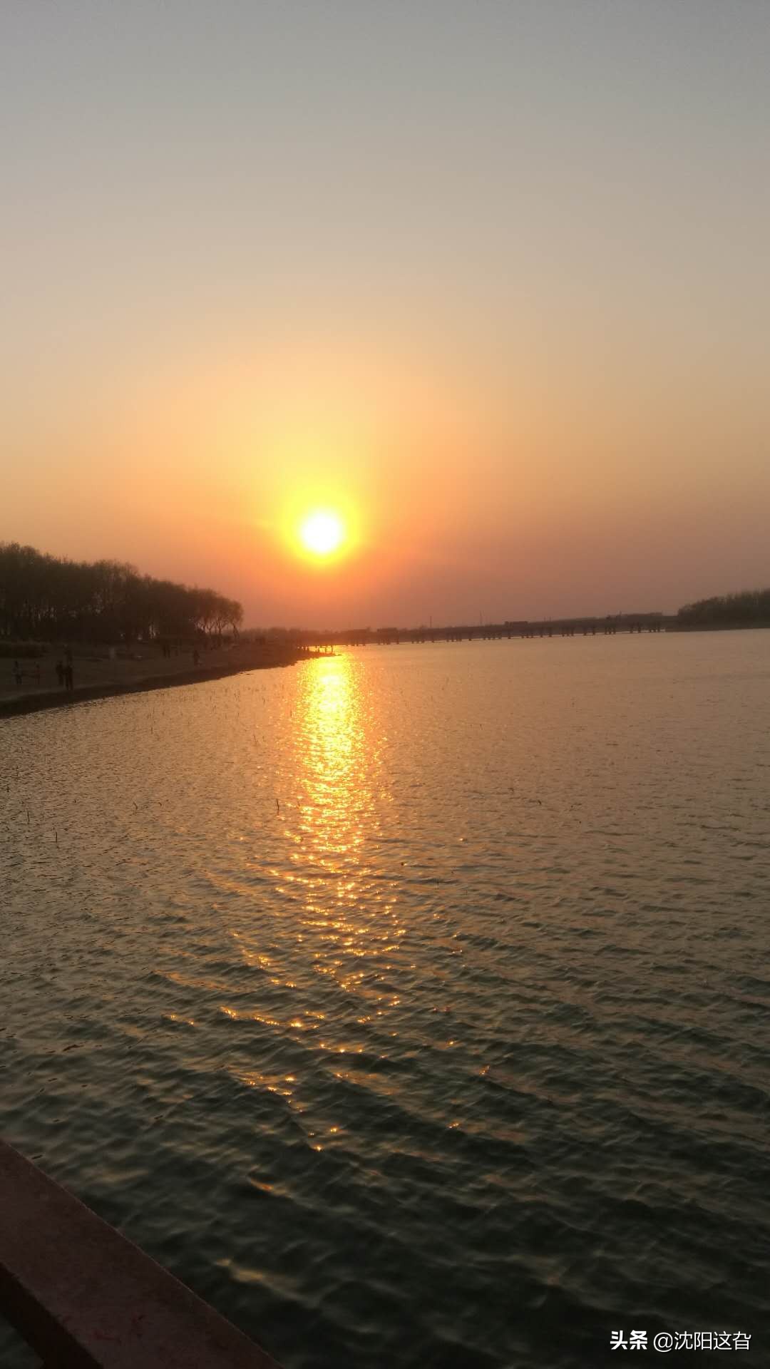 丁香湖真的太美啦,丁香湖的四大景观