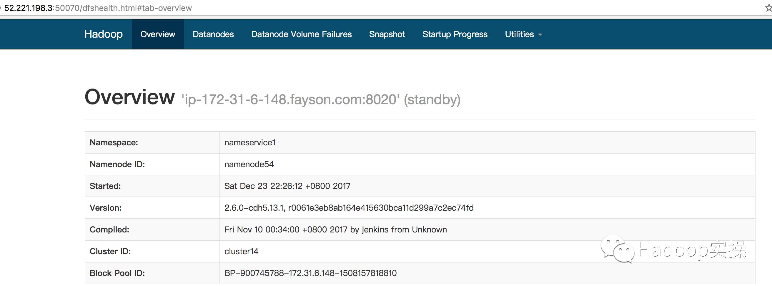0125-如何在集群外节点跨网段向HDFS写数据