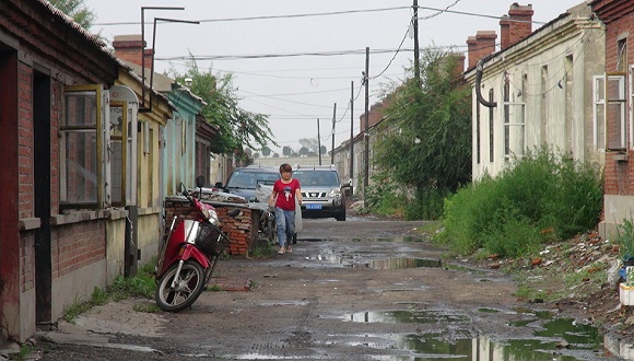 曲婉婷人生经历,为什么让曲婉婷回国参加节目