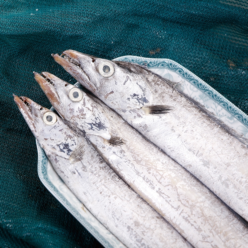 带鱼和带鱼段哪个便宜,大带鱼和小带鱼哪个贵