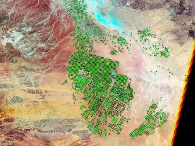 受疫情影响,近20%美国摄影师转行求谋生/普利策奖获奖名单公布