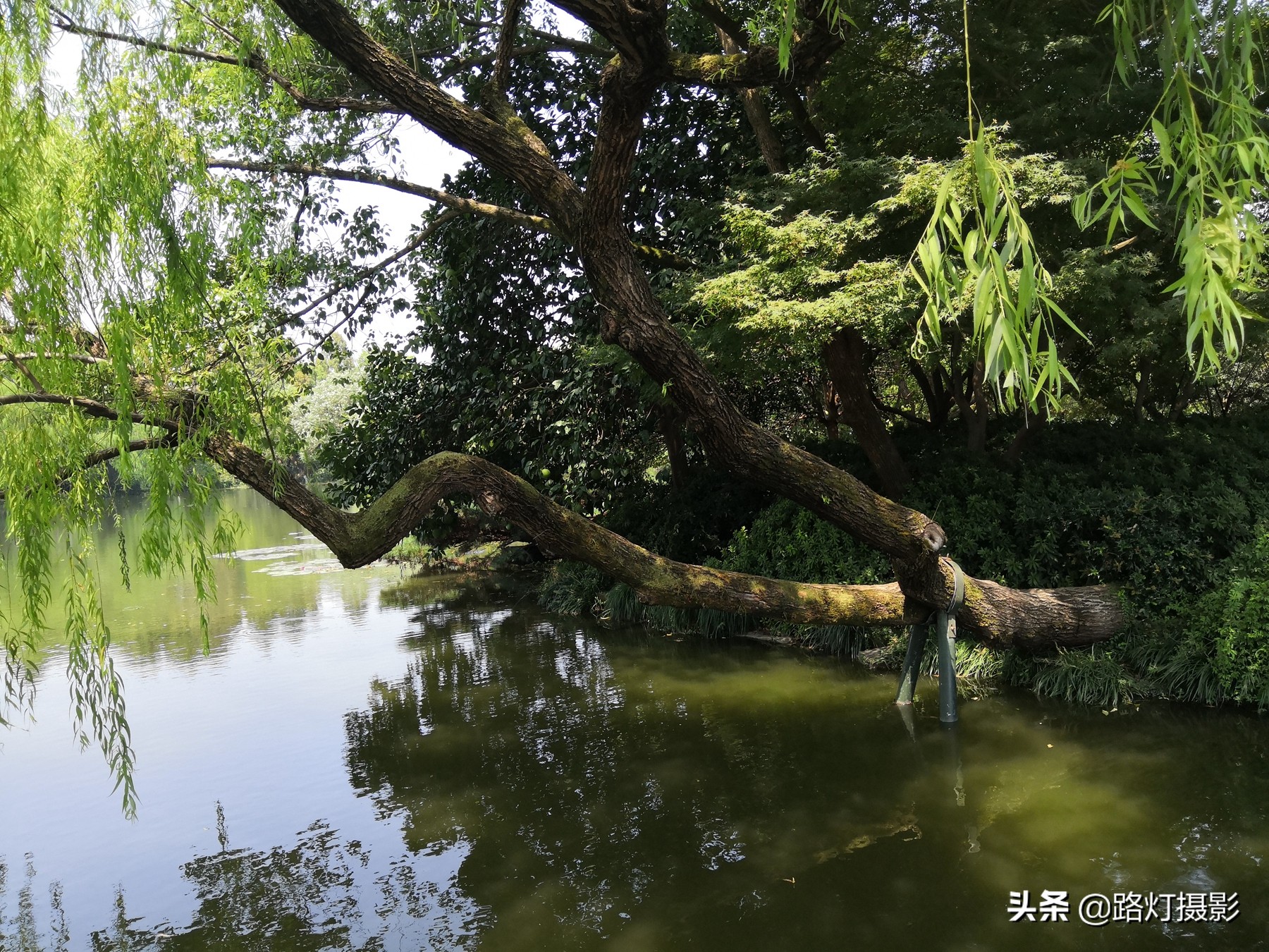 秋天一定要去山里,秋天一定要去趟南京