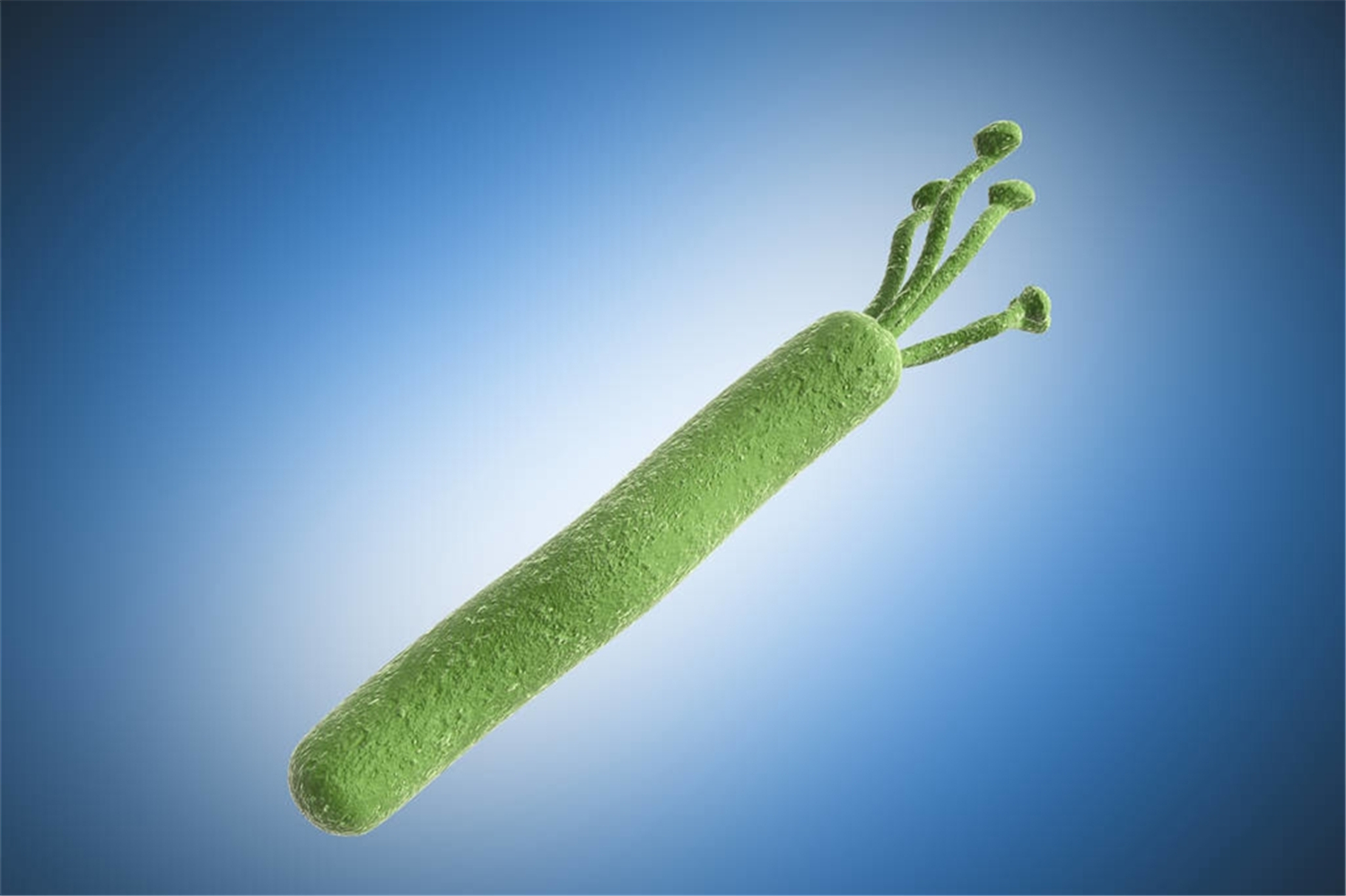 小月龄宝宝口臭的原因和解决方法,小奶娃为什么喜欢吐舌头