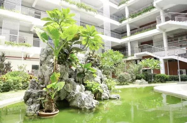 福田区初中名校排名,深圳福田重点小学有哪些