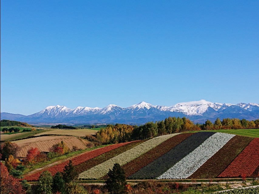日本从南到北旅游路线,从南游到北