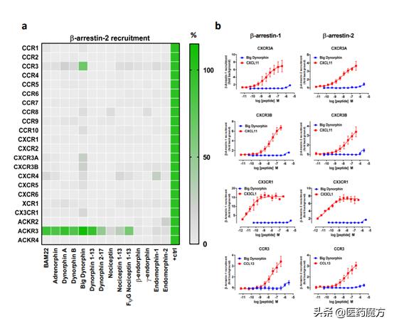 “神奇新药”有望治疗多种疾病：癌症、疼痛、抑郁|Nature子刊