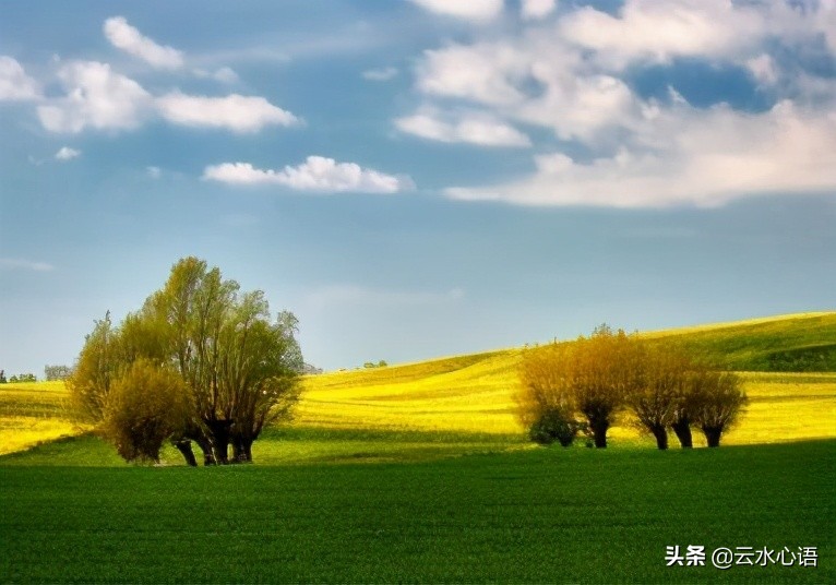 白居易经典七律古诗十首,白居易10首经典诗词七言绝句