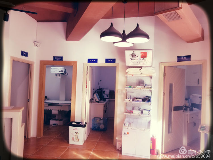 珠海猫猫宠物会所服务商,珠海宠物矫正训练