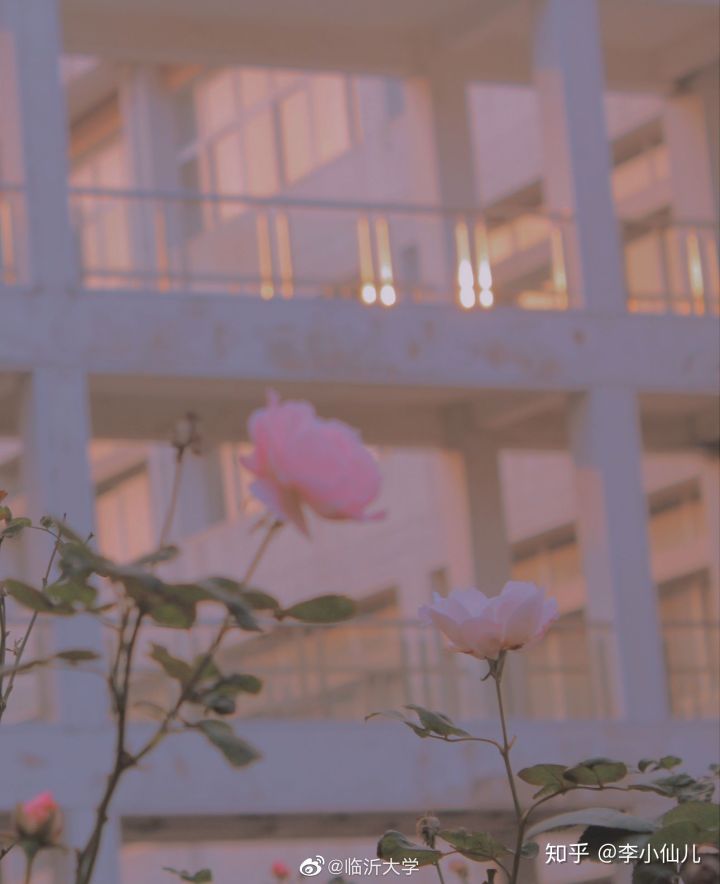 临沂大学学费价目表,山东临沂大学在哪个区