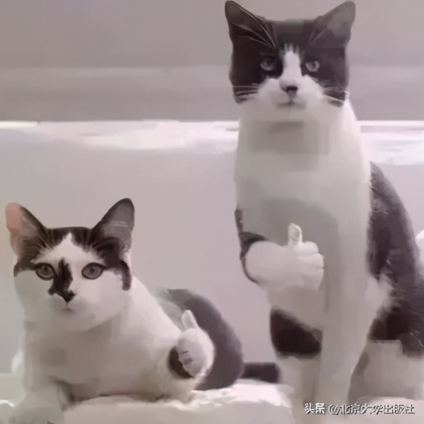 国图典藏百部网文,被国图收藏的网文