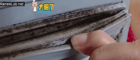 冰箱密封条发霉,冰箱密封条发霉解决方法