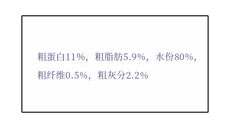 德国进口猫咪罐头,德国小李子猫咪主食罐头测评