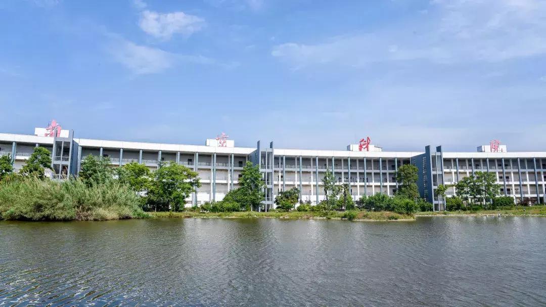 在大厂工作是种什么体验,生活在大厂是种什么样的体验