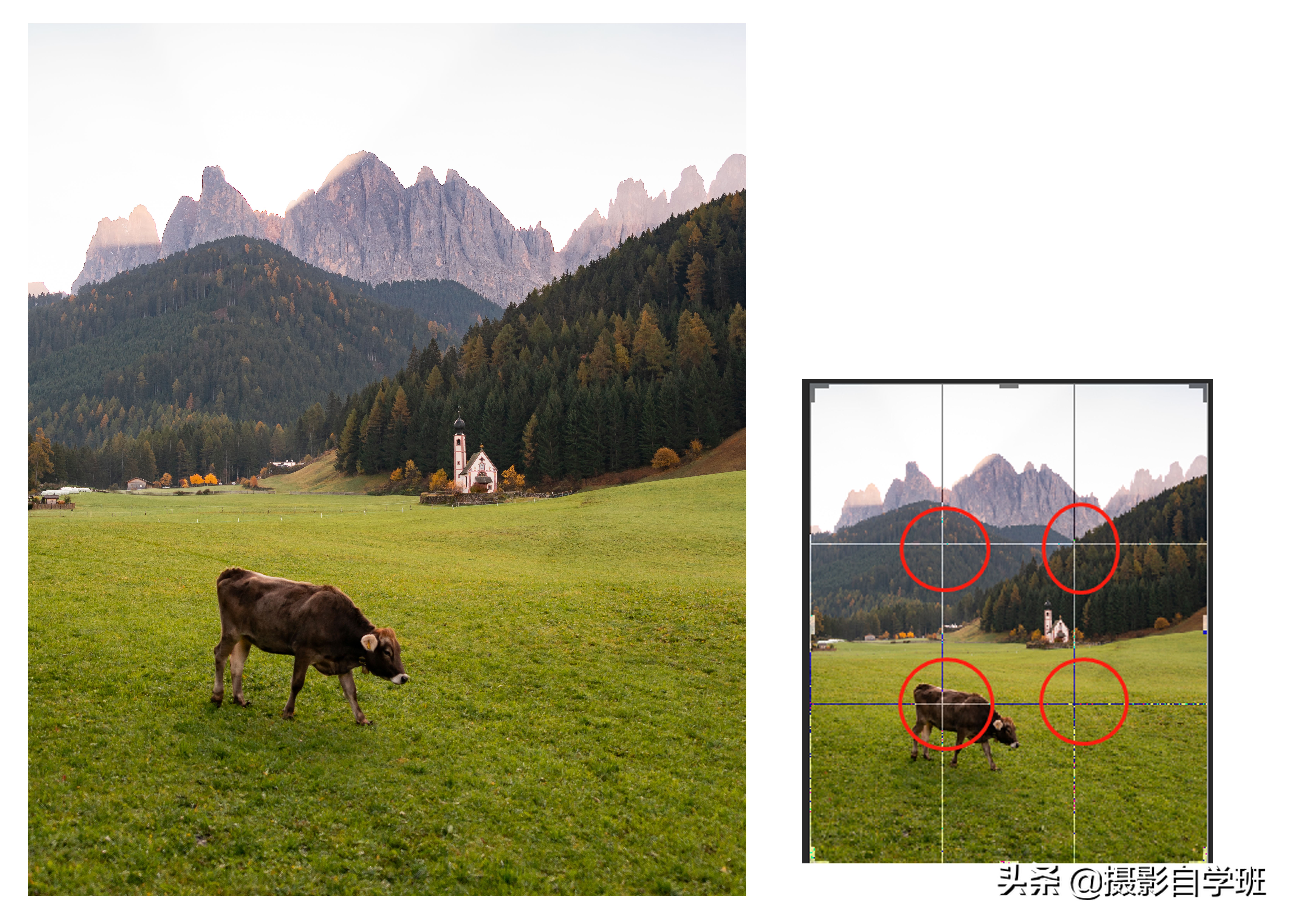 苹果手机的拍照技巧的正确使用,苹果手机拍照功能全部技巧教程