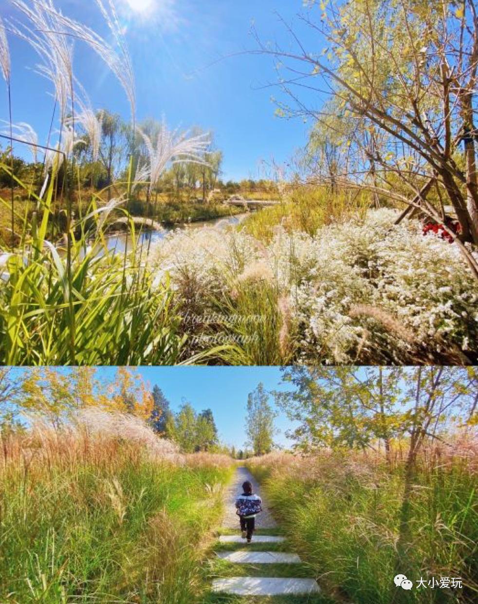 北京大型室内儿童游乐场,北京露天游乐场地设计