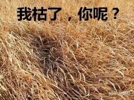 抽烟的女生是什么样的人,抽烟的女生是什么样的女生